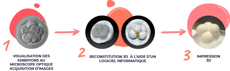 GAIN LABORATOIRE EMBRYOSCAN R&D