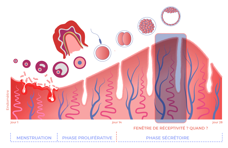 gain - laboratoire - test - fertilité - montpellier - France